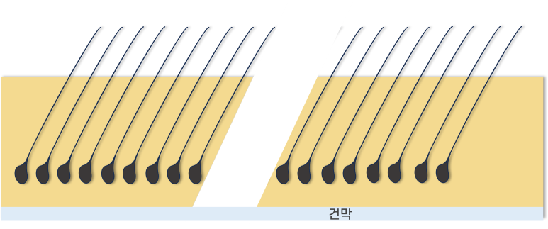1dbf58a14d5c587ffb811103f9eeca31_1767574092_3007.png