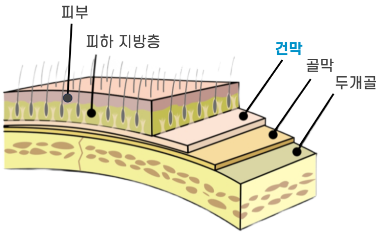 1dbf58a14d5c587ffb811103f9eeca31_1767574100_6435.png