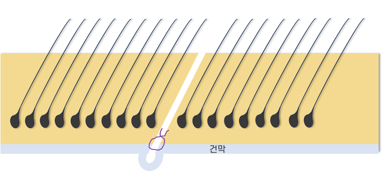 1dbf58a14d5c587ffb811103f9eeca31_1767574119_5454.png