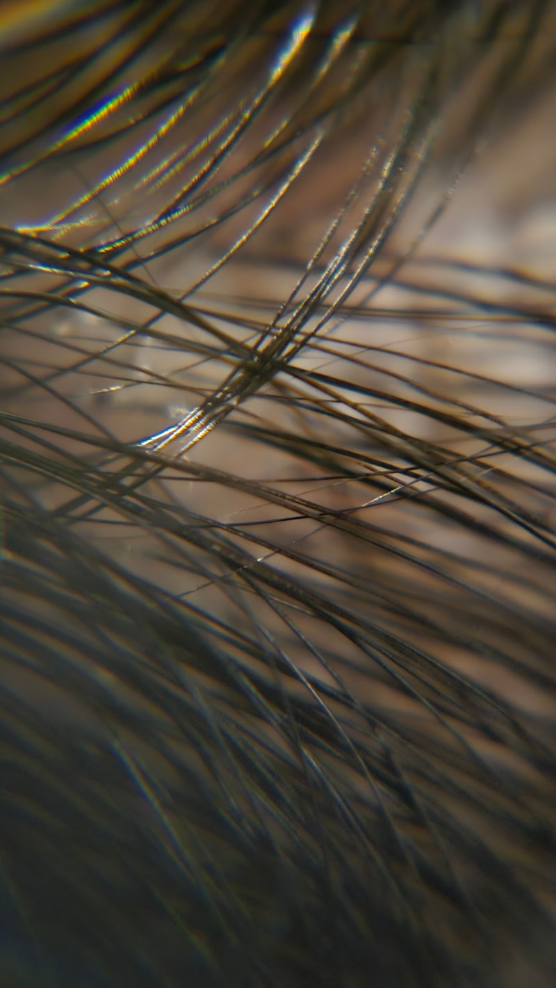 2d8685fdc7207d2611a4682303f80ea0_1769497689_024.jpg