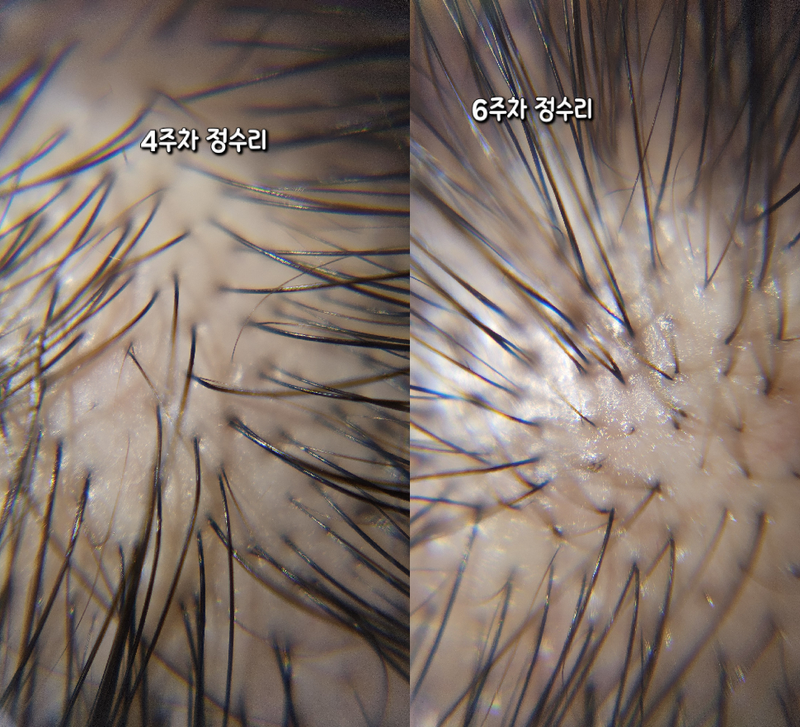 3e982d79b6aa454c38fb52229aa6f609_1772239955_5796.png