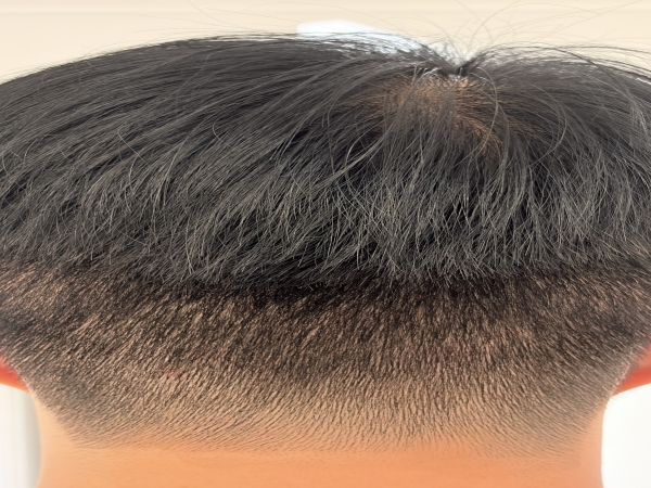 c117a8d6dda68de84087b9aff282538f_1786458609_3774.jpg