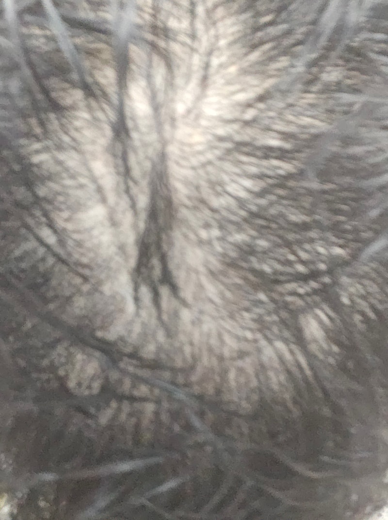 f1c0fc1015129cc63fb7a63c4d90f25c_1786421759_8332.jpg