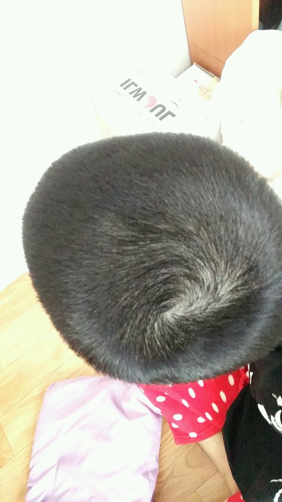 mir_20170212_103316.jpg