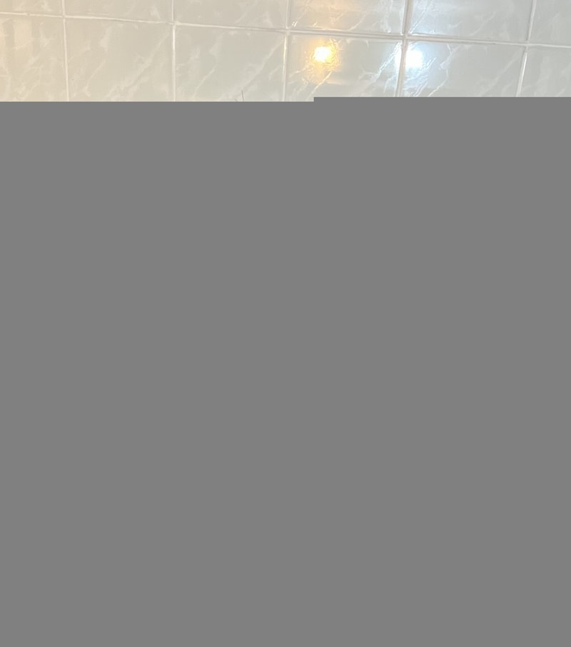 700A2786-3718-491A-933D-BF95741635D1.jpeg