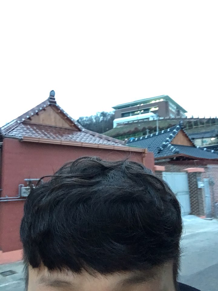 머리전체.jpg