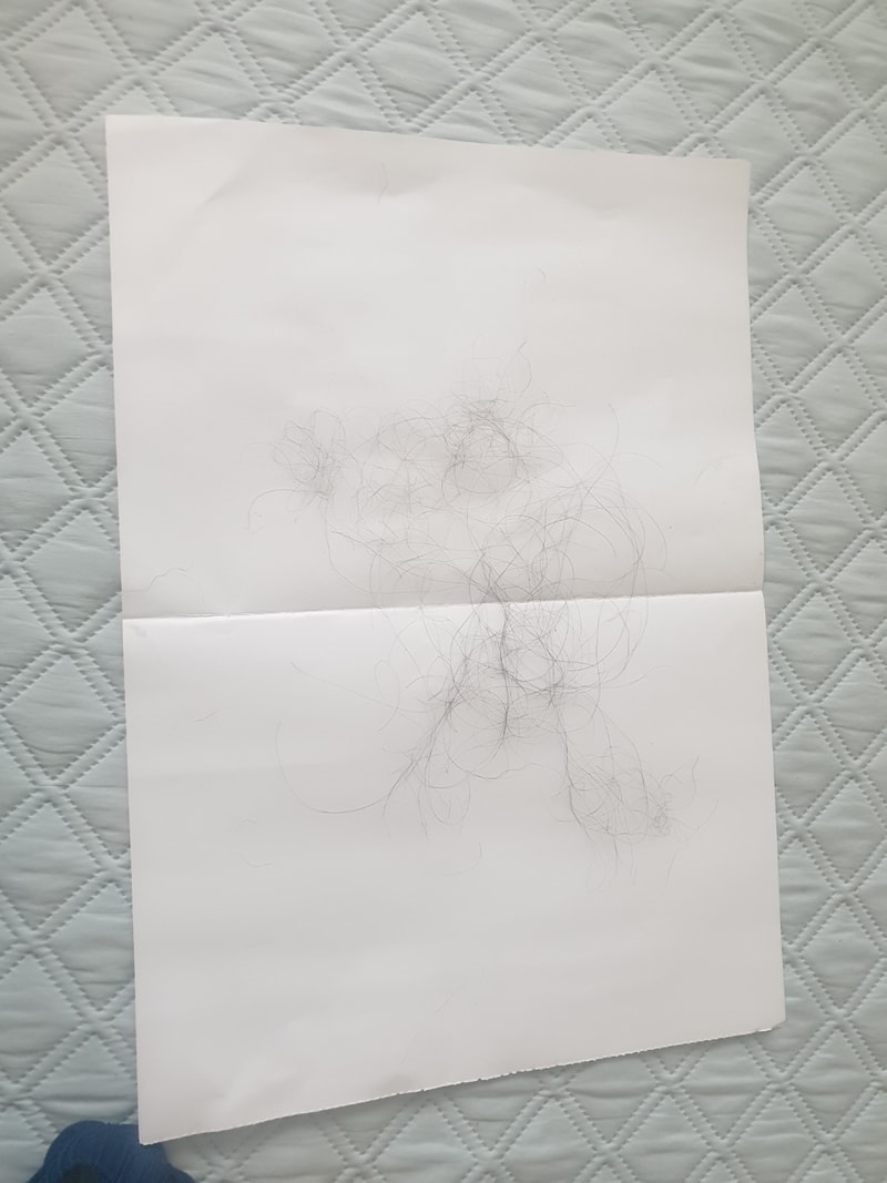 1716728379381.jpg