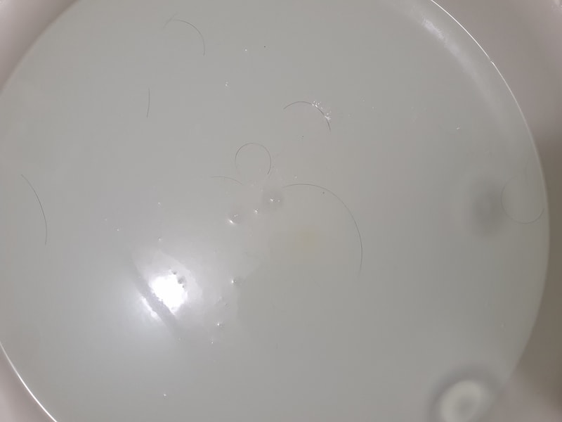 20240518_231051.jpg
