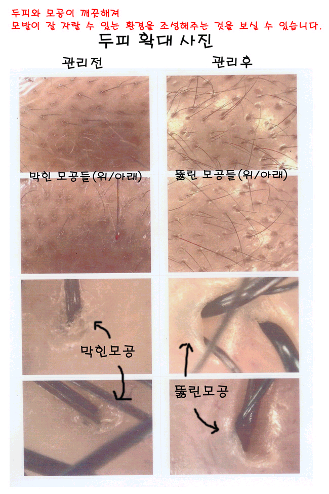 제목_없음.jpg