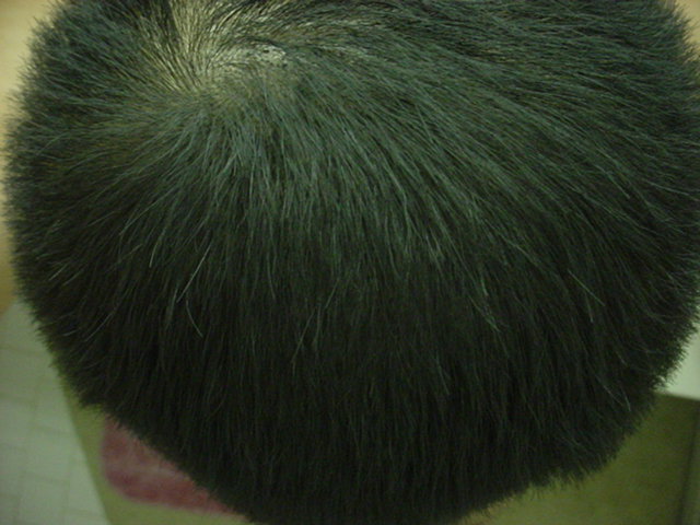 Picture_036.jpg