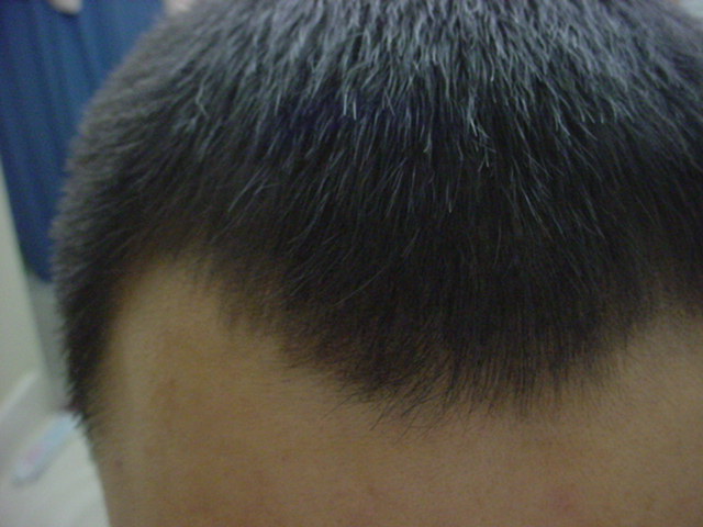 Picture_040.jpg