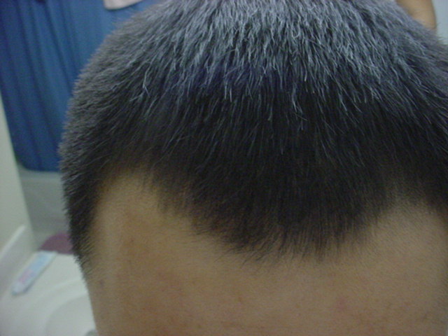 Picture_041.jpg