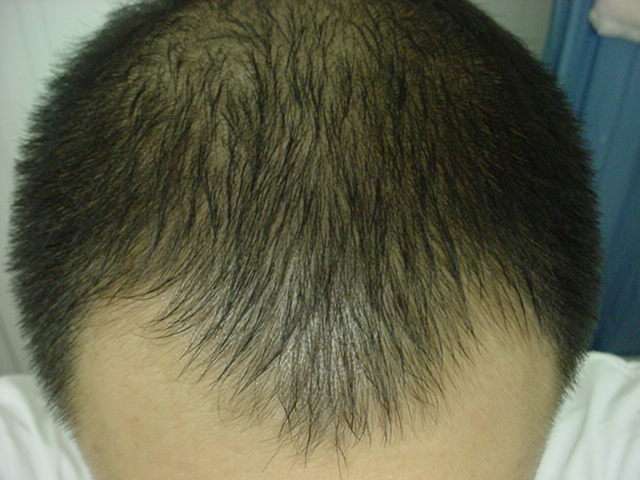 Picture_044.jpg