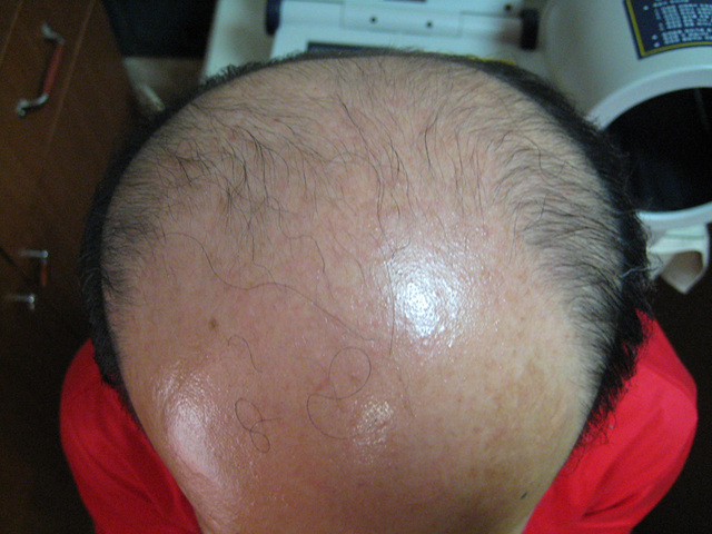 20100629-1.jpg