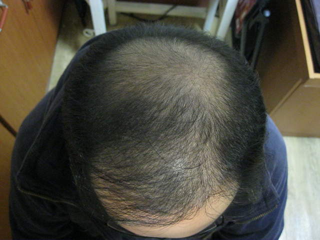2010.11.02 018.jpg