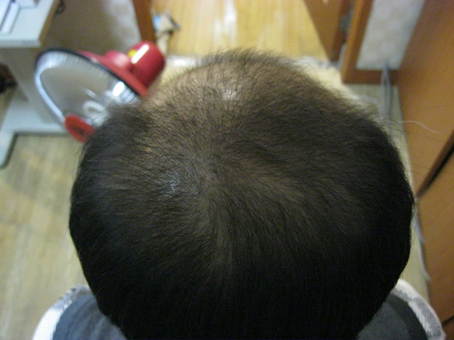 20110104 006.jpg