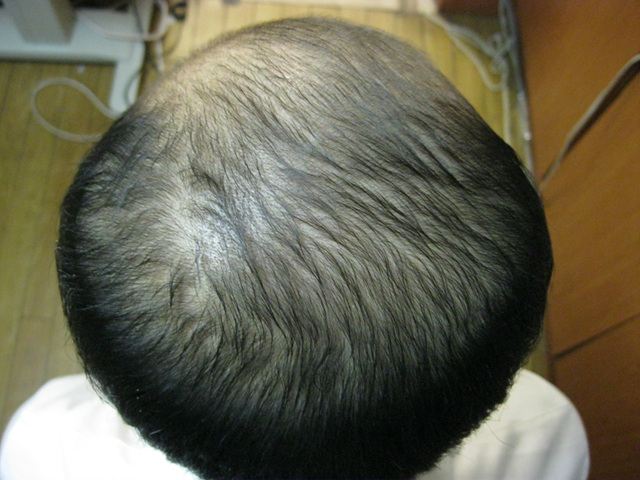 20101004-3.jpg