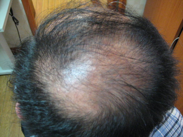 20100622-2.jpg