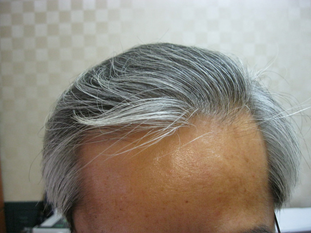 20101007-1.jpg