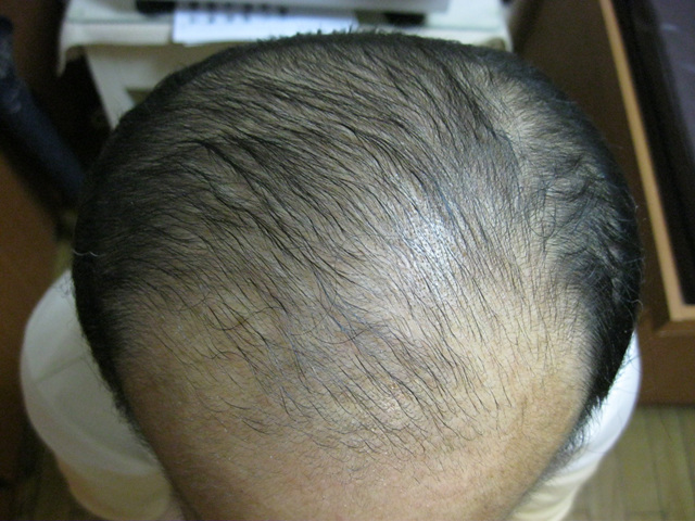 20101004-2.jpg