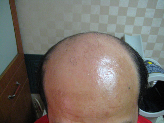 20100629-2.jpg
