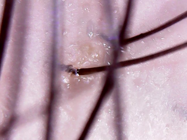 1A18F490-4B24-45A3-8CBD-2082822A2A90.jpeg