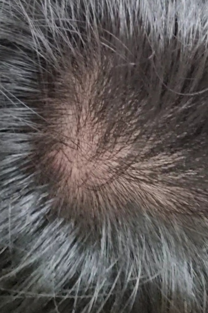 VideoCapture_20220827-011013.jpg