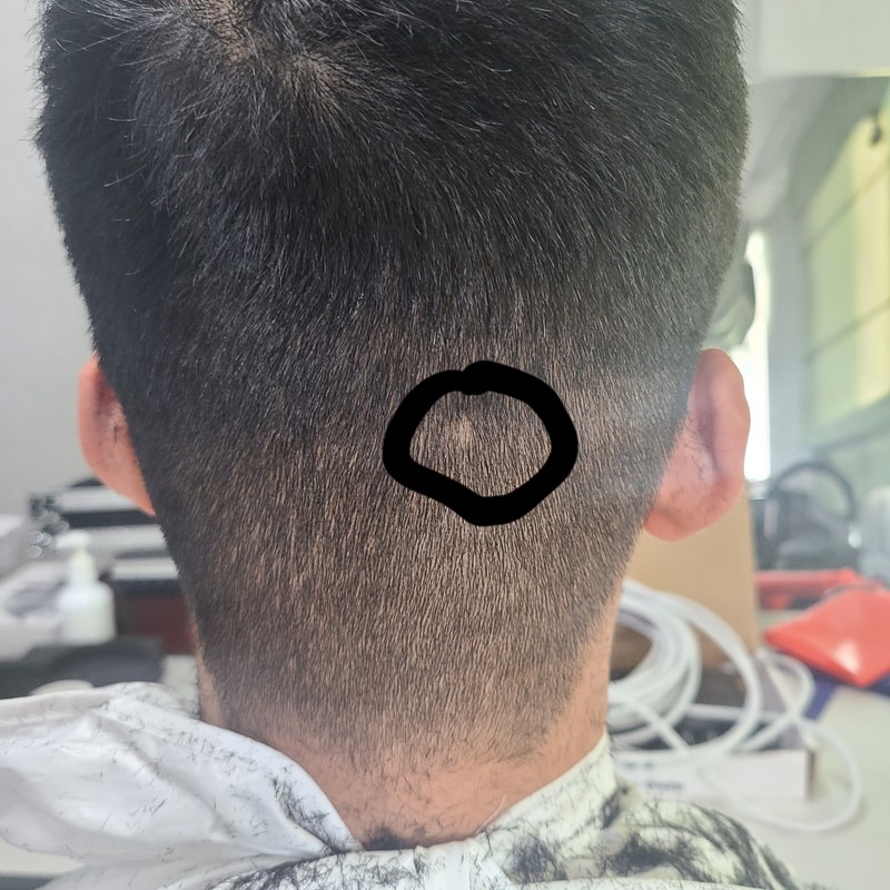 1667631762329.jpg