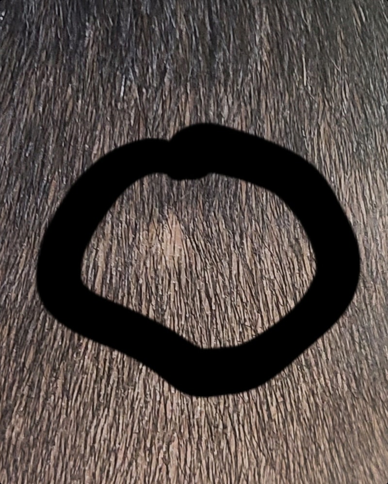 Screenshot_20221105-160338_Gallery.jpg