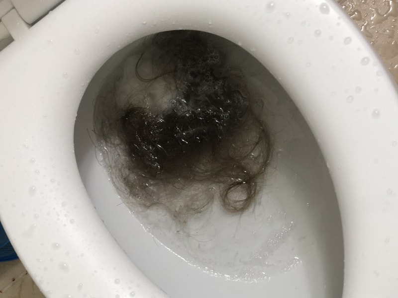 DA391031-8A0C-4264-BD6E-760E43F3AFEA.jpeg