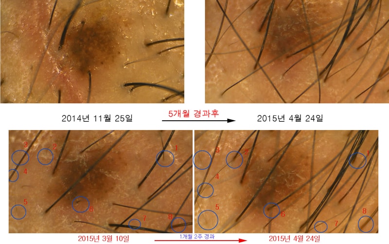 15042430BA02.jpg