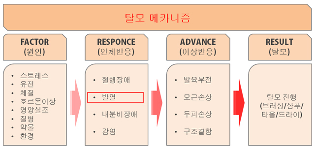 talmo_mecanism_fever.jpg