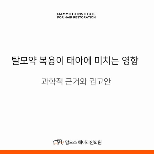 맘모스1.jpg