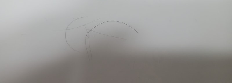 20240121_124846.jpg