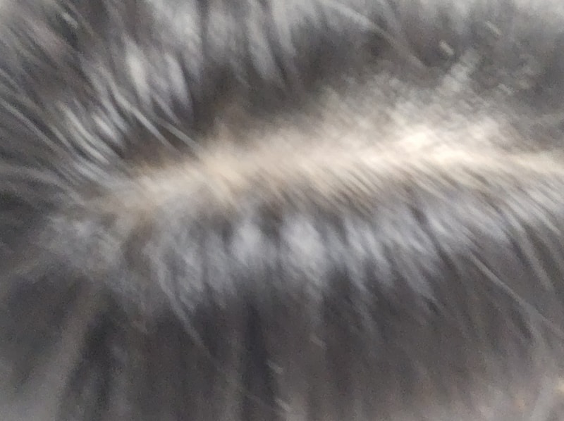 17394135744629092251578567347526.jpg