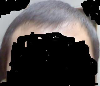 1.JPG