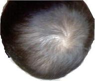 2038389050_83e8312f_6.jpg