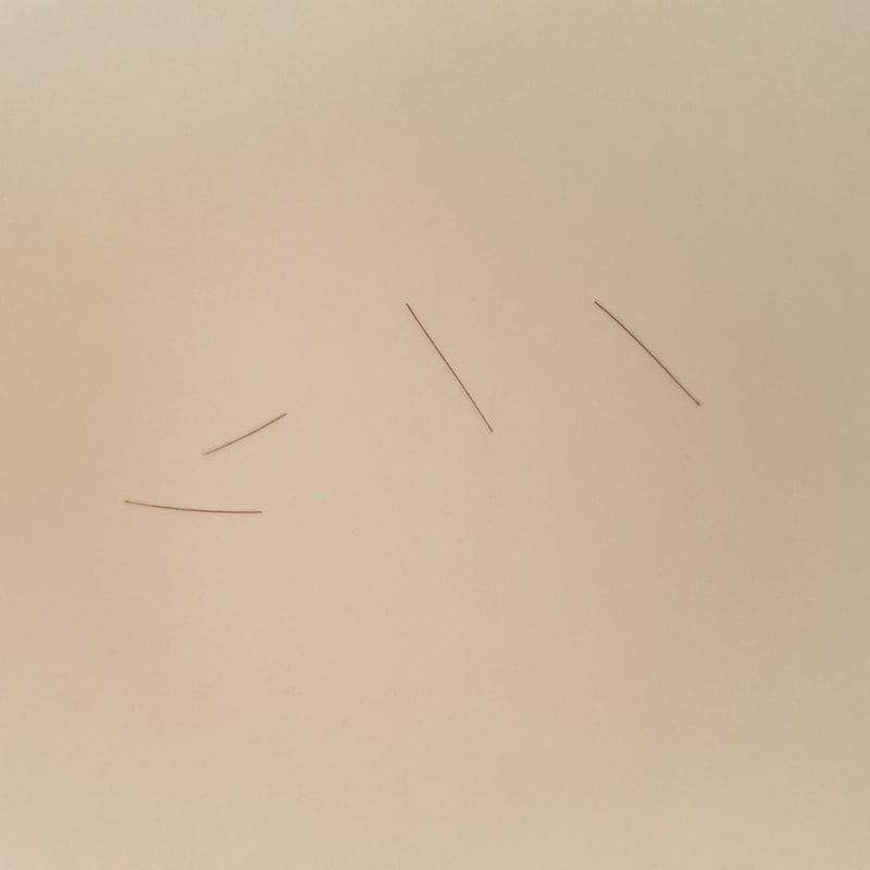 20170701_084819.jpg