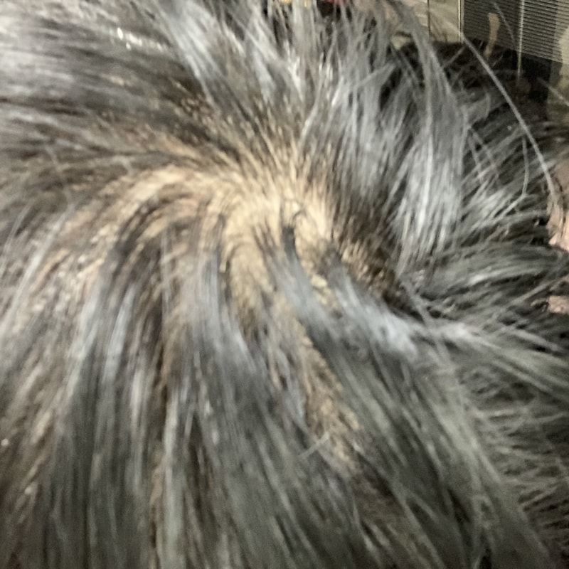 B47CF385-849B-4088-B76B-345A2413B075.jpeg