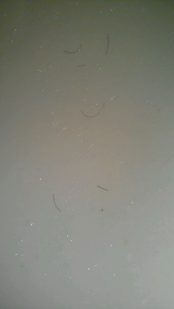 20160401_025741_315.jpg