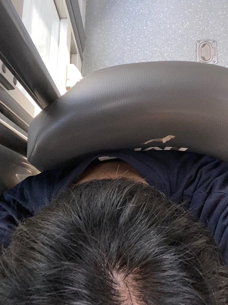 핀페시아.jpg
