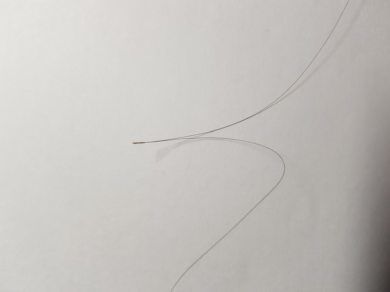 20180428_224334.jpg