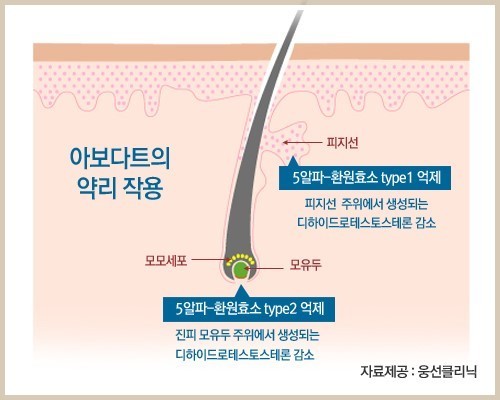 두타2.jpg