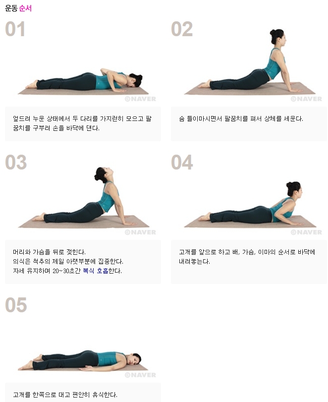 코브라자세.jpg