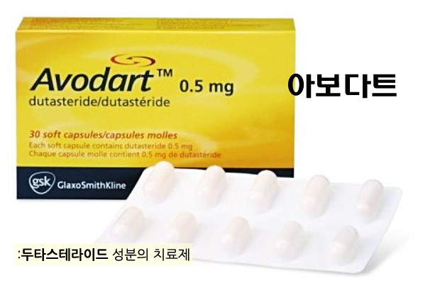 아보다트.JPG