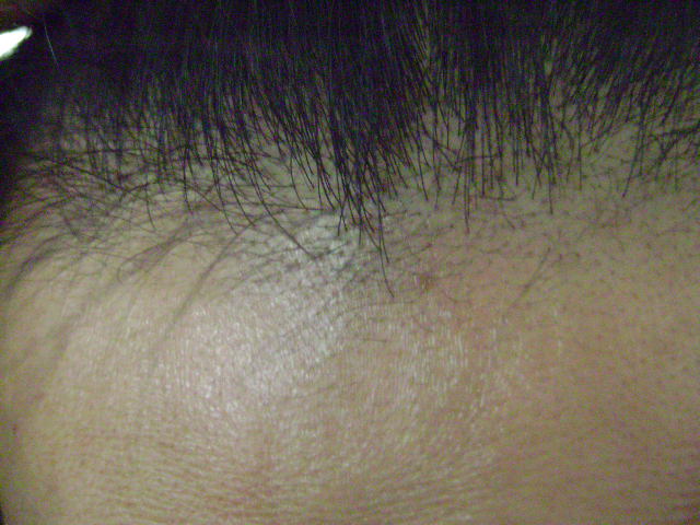 DSC00100.JPG