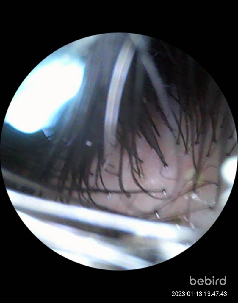 1673589829066-4.jpg