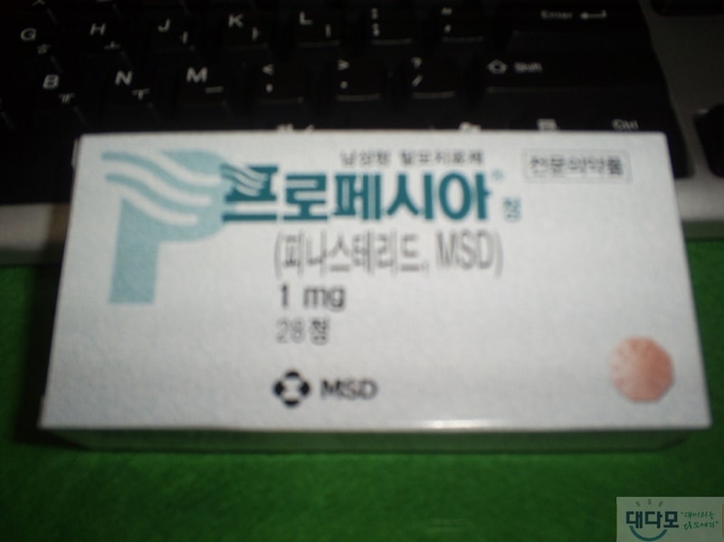 크기변환_S5030610.JPG
