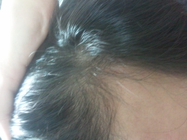 2012-02-11 00.39.09.jpg