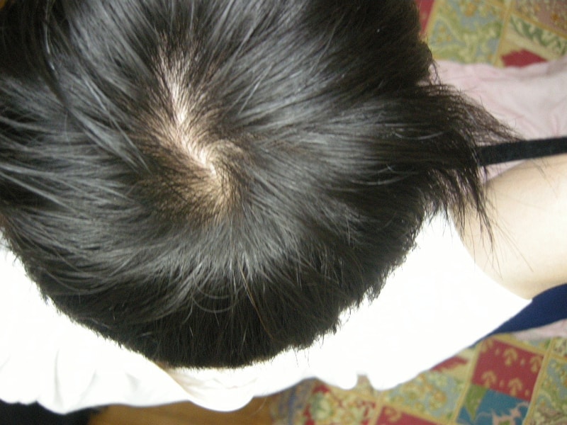 DSCN2484.jpg